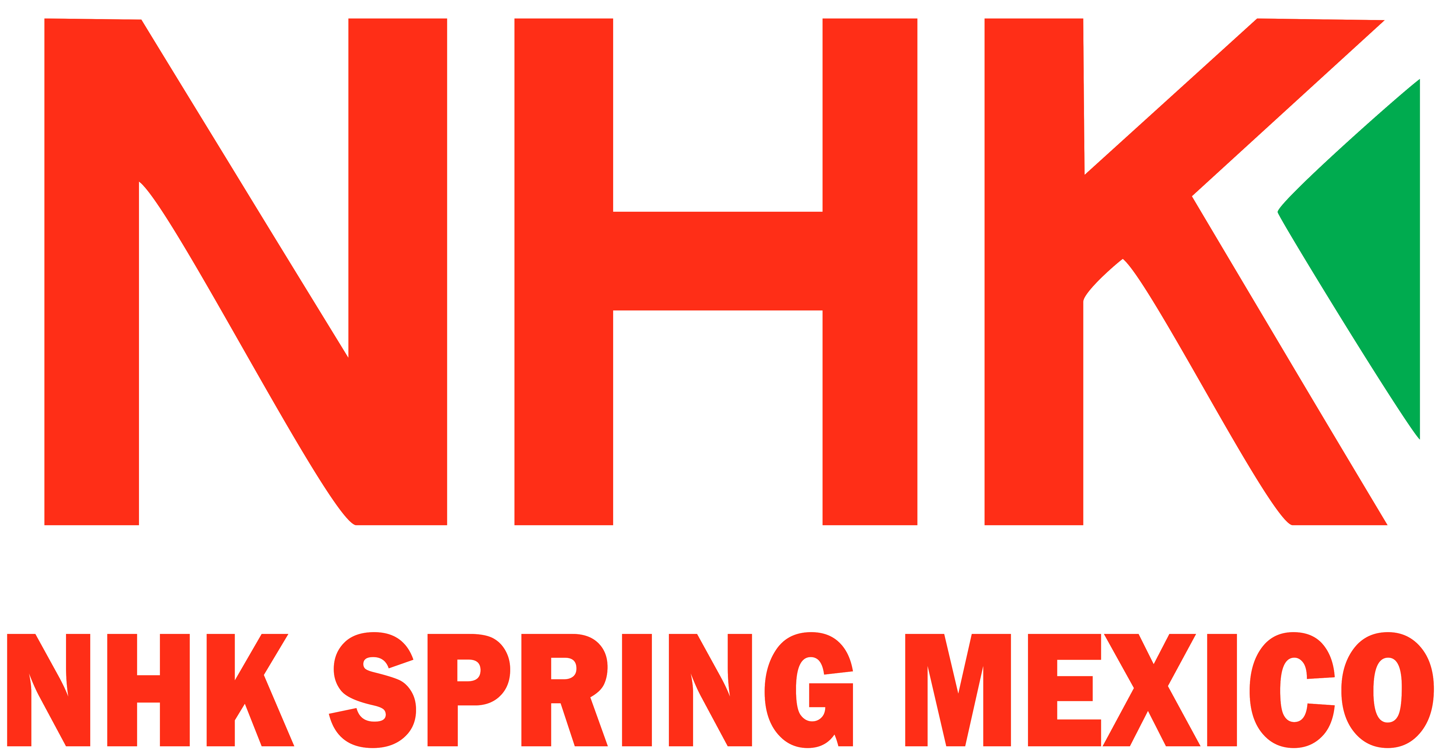 NHK SPRING MEXICO